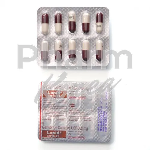 젬피브로질-without-prescription